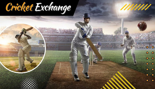 Revolutionizing Cricket Engagement: Six6s Serves As Your Premier Cricket Exchange Platform